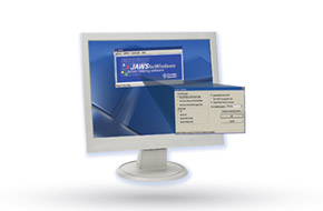 Computer screen with JAWS menu.