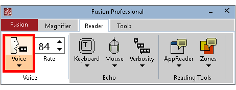 Voice button shown on the Fusion Reader tab