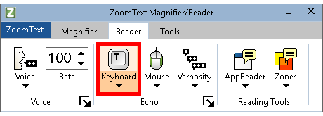 Keyboard button shown on the Reader tab