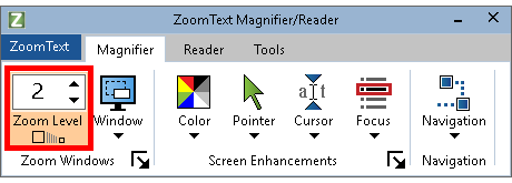 Zoom Level box shown on the Magnification tab