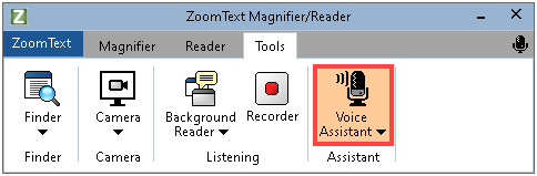 zoomtext 10 and word processing