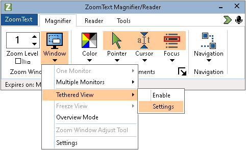 ZoomText Magnifier Only, Single User 
